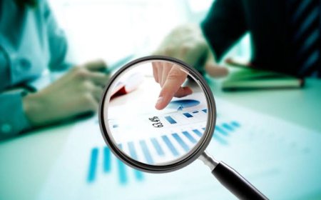Transparencia Datos
